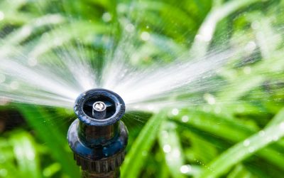 Efficient Sprinklers: Promoting Water Conservation and Landscape Beauty