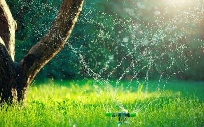 Optimize Irrigation with Smart Sprinklers for a Vibrant Landscape