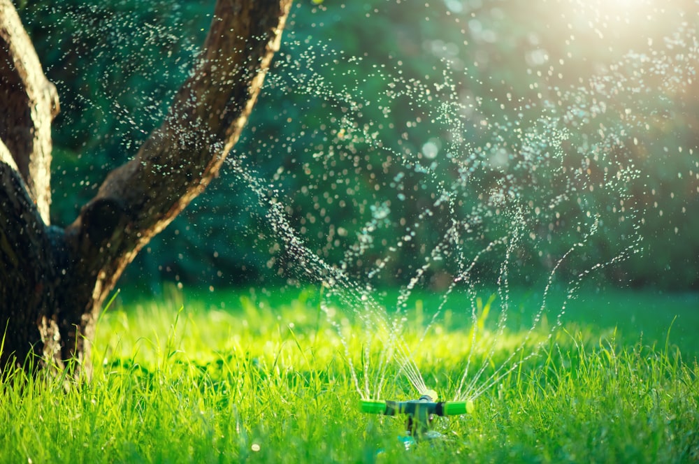 Optimize Irrigation with Smart Sprinklers for a Vibrant Landscape