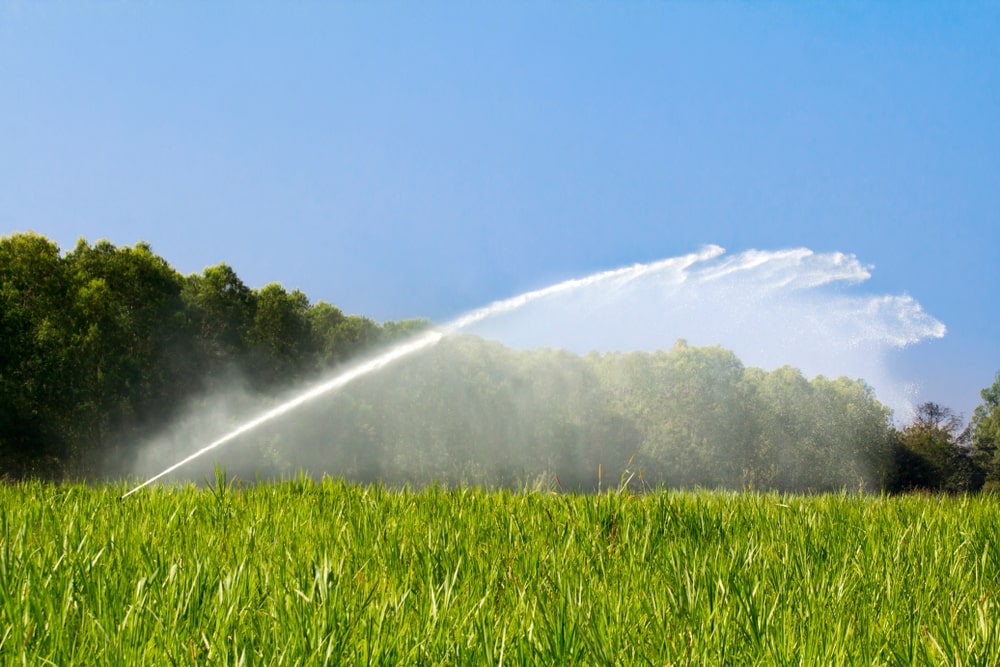 Simplify the Care of your Garden with Automated Sprinklers